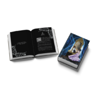 Once Upon A [Stolen] Time - Special Edition Hardcover